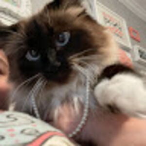 Meet your Posher, Addison